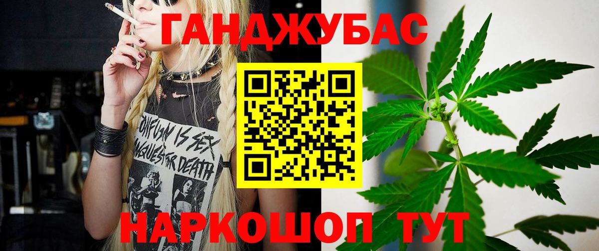 Конопля сатива Ревда